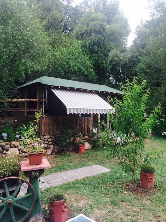 Cabanas Rahue Vilches Exterior photo